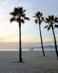 USA, Palmen am Strand von Los Angeles - KMF00573