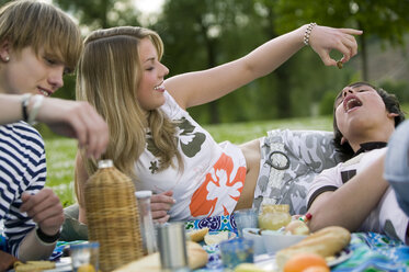 Teenager beim Picknick - KMF00261