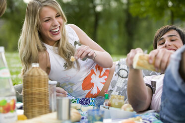 Teenager beim Picknick - KMF00260