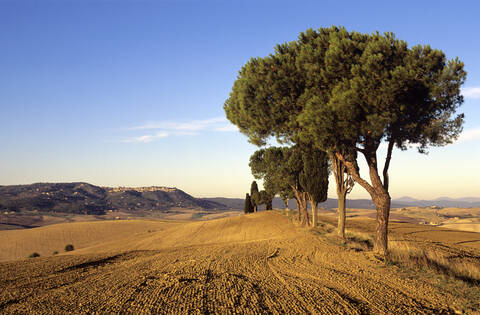 Italien, Toskana, Blick auf gepflügtes Feld, lizenzfreies Stockfoto