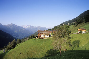 Österreich, Alpen, Blick auf Bartholomäberg - MSF01959