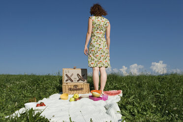 Junge Frau auf Picknickdecke stehend, Rückansicht, Tiefschnitt - LDF00202