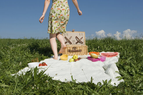 Junge Frau auf Picknickdecke stehend, Rückansicht, Tiefschnitt - LDF00200