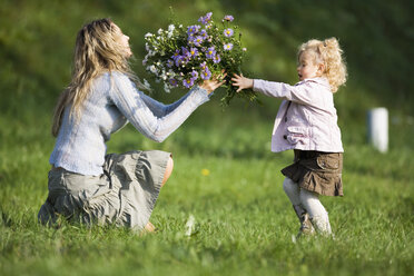 Tochter schenkt Mutter Blumenstrauß, Seitenansicht - WESTF03005