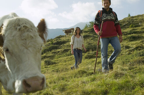 Young couple in moutains, cow in foreground - BABF00202
