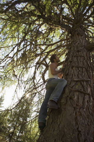 Junger Mann klettert auf Baumhaus, lizenzfreies Stockfoto