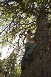 Young man climbing tree house - BABF00111