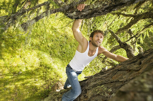 Junger Mann klettert auf Baum, Blick von oben - BABF00029