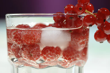 Rote Johannisbeeren und Himbeeren in einem Glas Wasser, Nahaufnahme - ASF02613