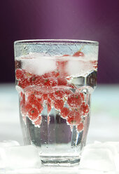 Red currant in water glass, close-up - ASF02612