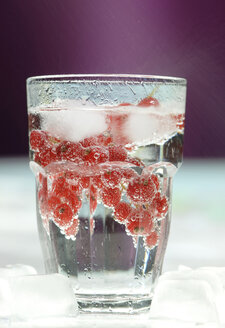 Rote Johannisbeere im Wasserglas, Nahaufnahme - ASF02612