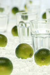 Limettenfrüchte und Wasserglas auf zerstoßenem Eis - ASF02578