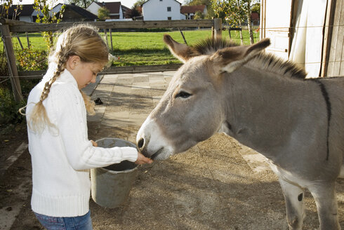 Mädchen (10-12) füttert Esel, Seitenansicht - WESTF02961