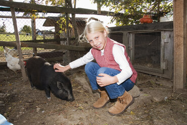 Girl with pot-bellied pig in barn - WESTF02948