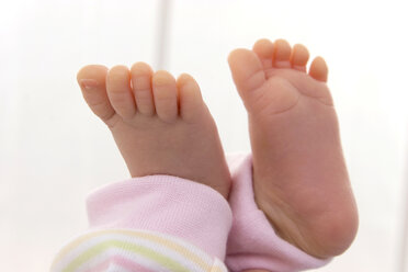 Feet of baby, close-up - SMOF00075