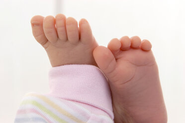 Feet of baby, close-up - SMOF00073