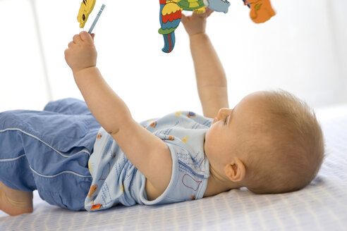 Baby boy (6-12 months) lying on back, holding toys - SMOF00018