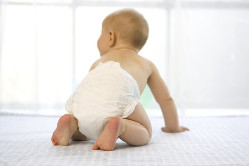 Baby boy (6-12 months) crawling,rear view - SMOF00013