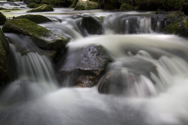 Kleine Ohe stream, Bavarian Forest, Germany - FOF00049