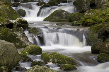 Deutschland, Bayerischer Wald, Bach Kleine Ohe - FOF00048