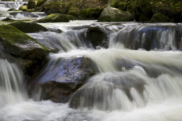 Bach Kleine Ohe, Bayerischer Wald, Deutschland - FOF00038