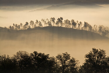 Italy, Tuscany, foggy landscape - FOF00024