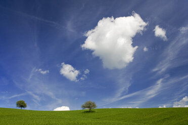 Italien, Toskana, Landschaft - FOF00008