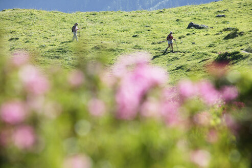 Zwei Frauen beim Wandern in den österreichischen Alpen - MRF00661