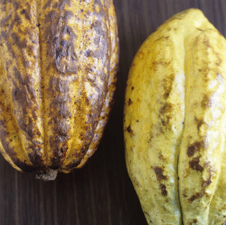 Two Cocoa husks - COF00072