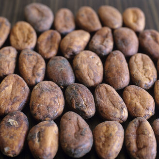 Cocoa beans - COF00064