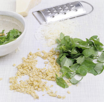 Ingredient for green pesto on kitchen table - COF00039