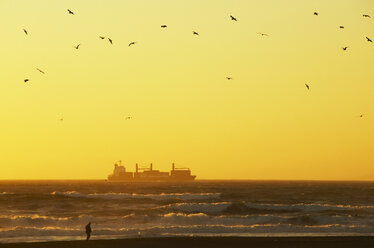 USA, California, San Francisco, ship in ocean at sunset - THF00348