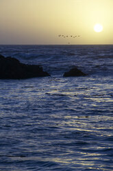 USA, Kalifornien, San Francisco, Sonnenuntergang am Meer - THF00322