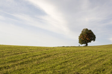 Deutschland, Person in Landschaft - RDF00209