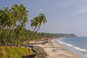 India, palms on beach - ND00085