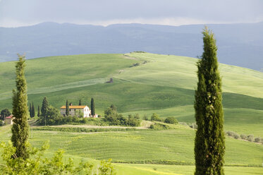 Italy, Tuscany, landscape - MRF00786