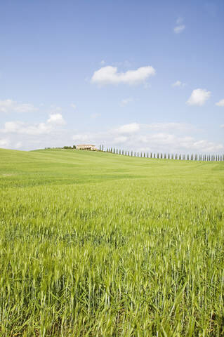 Italien, Toskana, Landschaft, lizenzfreies Stockfoto