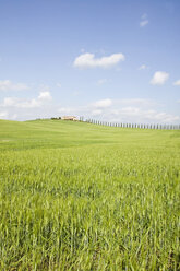 Italien, Toskana, Landschaft - MRF00782