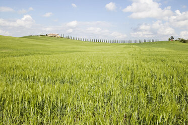 Italien, Toskana, Landschaft - MRF00781