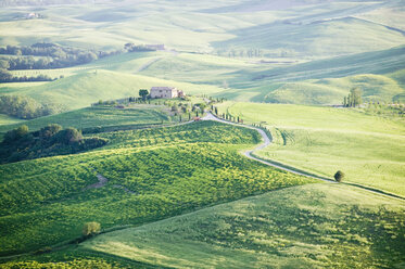 Italy, Tuscany, landscape - MRF00756