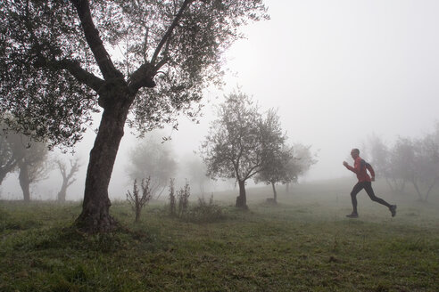 Italien, Toskana, Mann joggt im Nebel, Seitenansicht - MRF00734