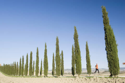Italien, Toskana, Bäume in einer Reihe, Mann beim Joggen, lizenzfreies Stockfoto