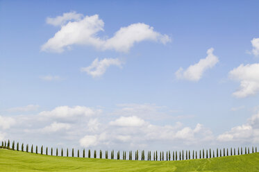 Italien, Toskana, Landschaft - MRF00721