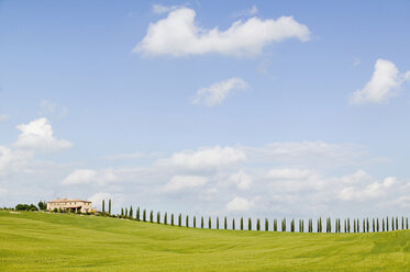 Italy, Tuscany, landscape - MRF00719