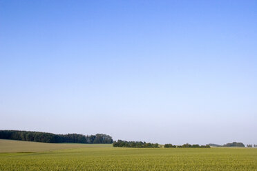 Felder in Bayern, Deutschland - LFF00051