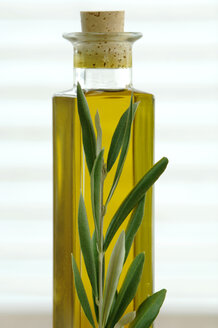Flasche mit Olivenöl und Zweig, Nahaufnahme - ASF02886