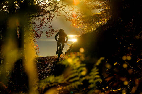 Junger Mann beim Mountainbiken im Wald, lizenzfreies Stockfoto