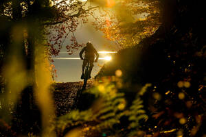 Junger Mann beim Mountainbiken im Wald - MRF00805