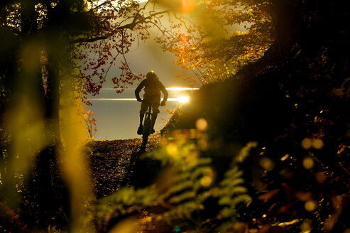 Young man mountain biking in forest - MRF00805
