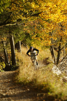 Junger Mann beim Mountainbiken im Wald - MRF00803